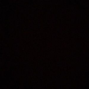 Meet your Posher, Maddy